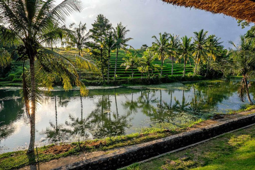 Alam Taman Villa Selemadeg Esterno foto