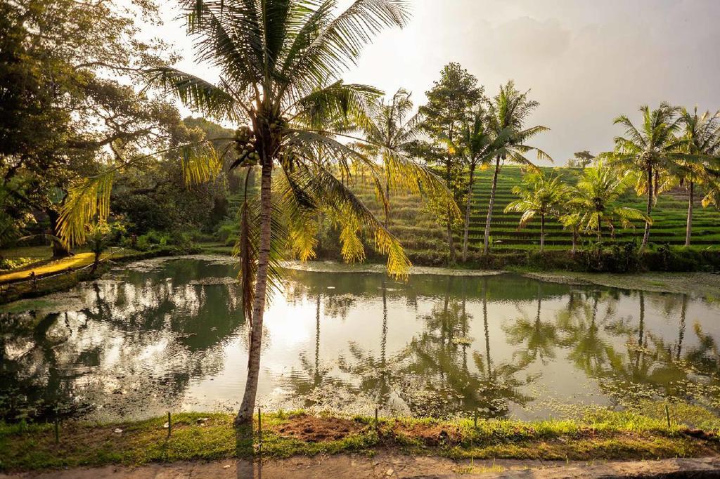 Alam Taman Villa Selemadeg Esterno foto